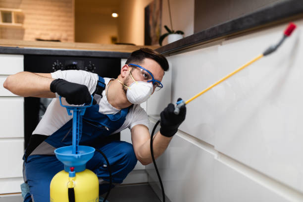 Best Best Pest Control Companies  in Pomona, KS
