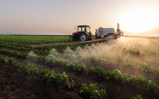 Best Mosquito Control Services  in Pomona, KS