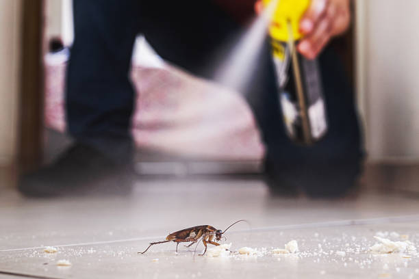 Best Affordable Pest Control Services  in Pomona, KS
