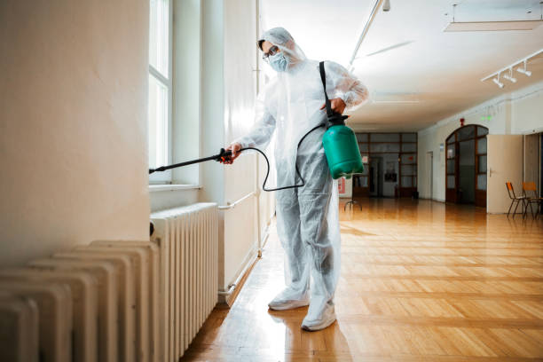 Trusted Pomona, KS Pest Control Experts