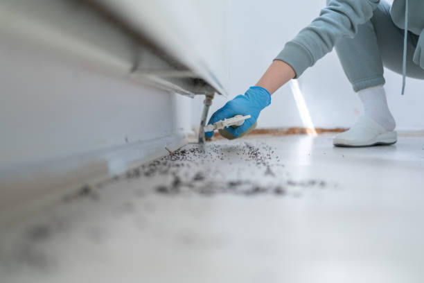 Best Commercial Pest Control Services  in Pomona, KS